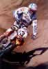2003Smets Lierop 2003-3.jpg (127,771 bytes)